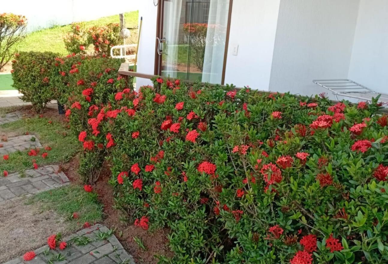 Flat Em Pipa - Brisas Do Amor Praia de Pipa الغرفة الصورة